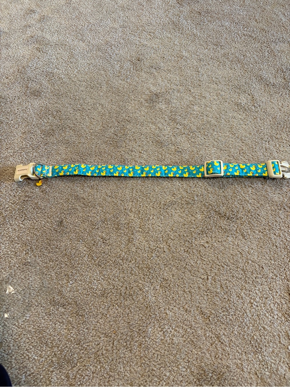 Teal Dog Collar with Yellow Duck Print and Gold Hardware